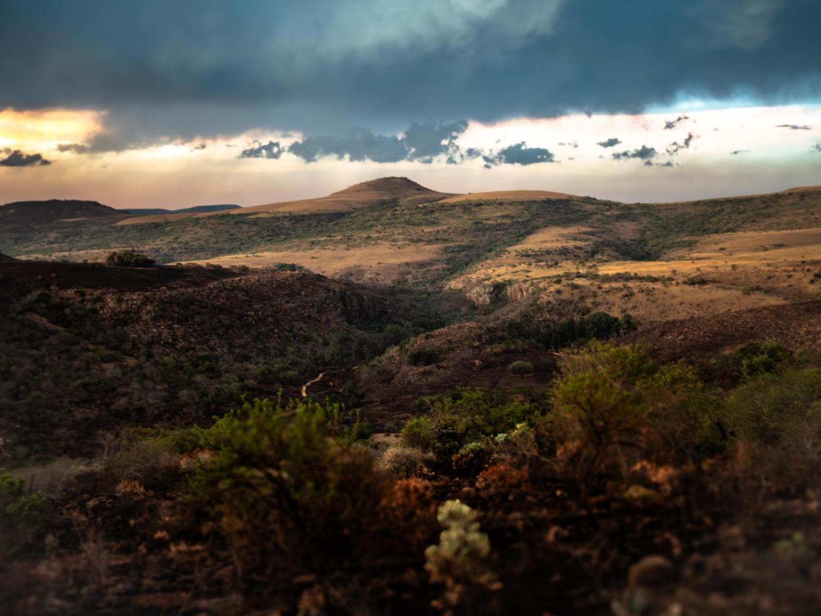 Riverbed Africa ไลเดนเบิร์ก ห้อง รูปภาพ