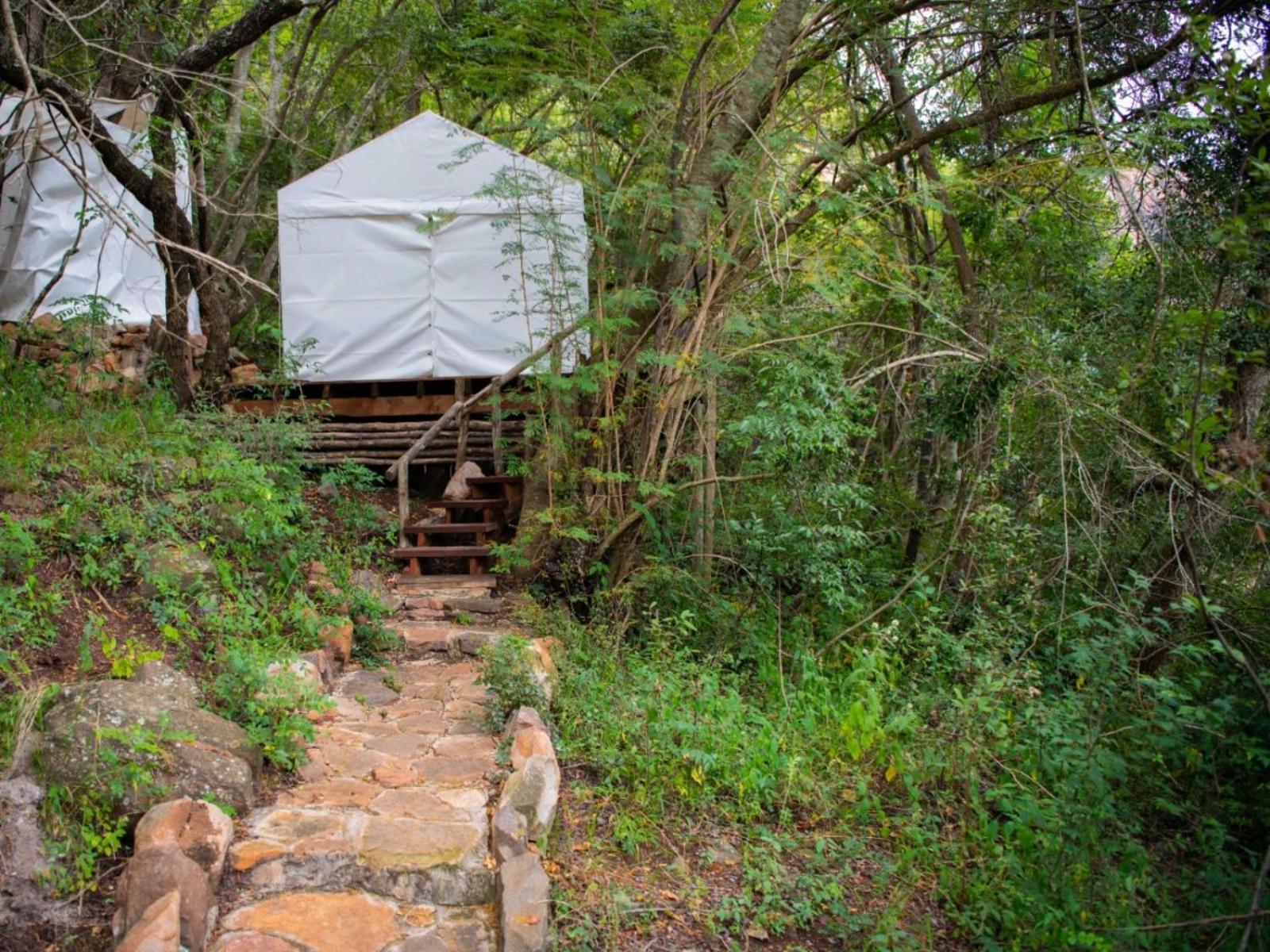Riverbed Africa ไลเดนเบิร์ก ห้อง รูปภาพ
